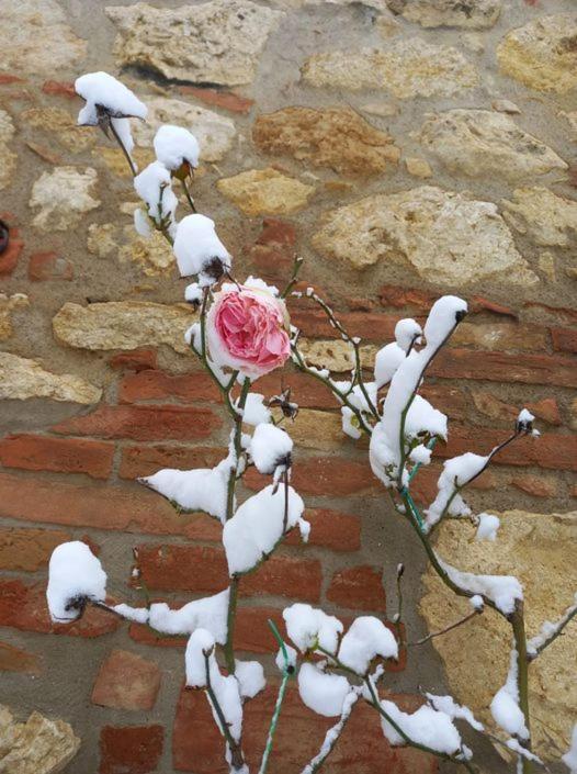 Agriturismo Ardene Villa Montepulciano Bagian luar foto